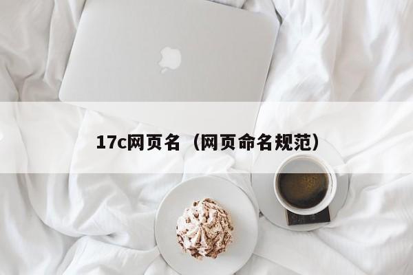 17c网页名(网页命名规范)