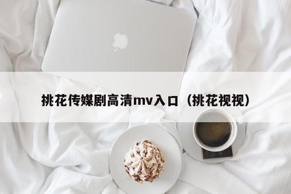 挑花传媒剧高清mv入口(挑花视视)